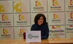 Ganemos Córdoba reclama que la Diputación cumpla las inversiones  previstas del 2017 - Ganemos Córdoba